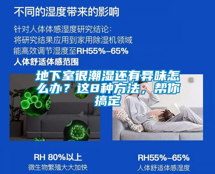 地下室很潮濕還有異味怎么辦？這8種方法，幫你搞定