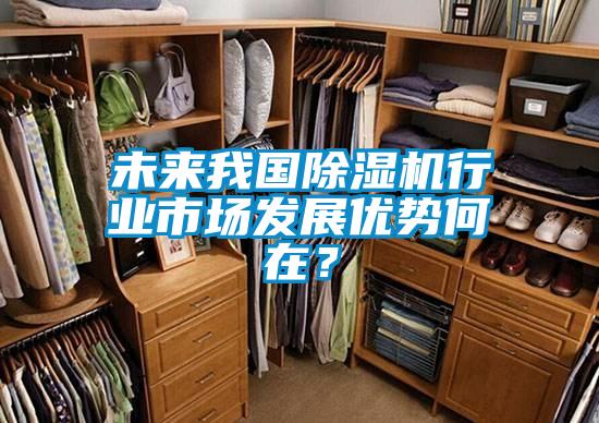 未來我國除濕機行業(yè)市場發(fā)展優(yōu)勢何在？