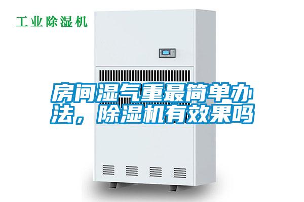 房間濕氣重最簡單辦法，除濕機有效果嗎