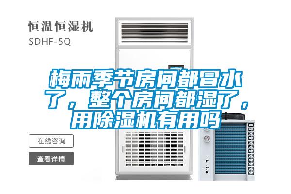 梅雨季節(jié)房間都冒水了，整個(gè)房間都濕了，用除濕機(jī)有用嗎