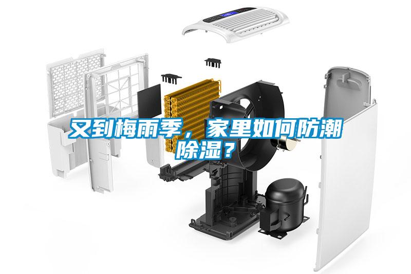 又到梅雨季，家里如何防潮除濕？