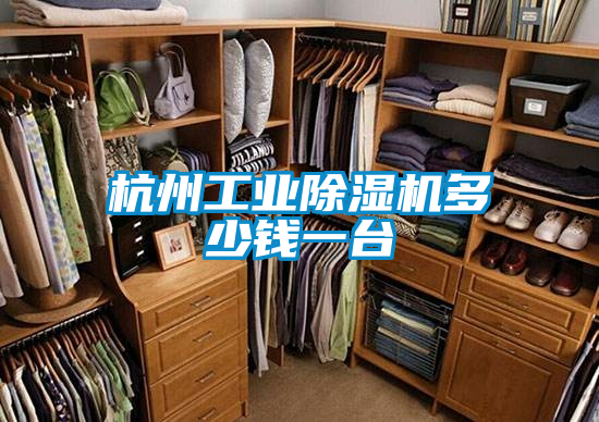 杭州工業(yè)除濕機多少錢一臺
