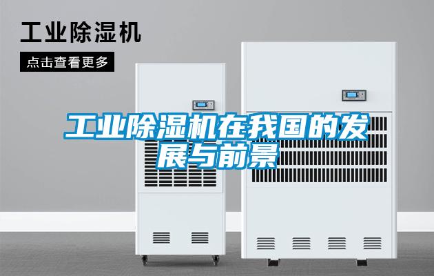 工業除濕機在我國的發展與前景