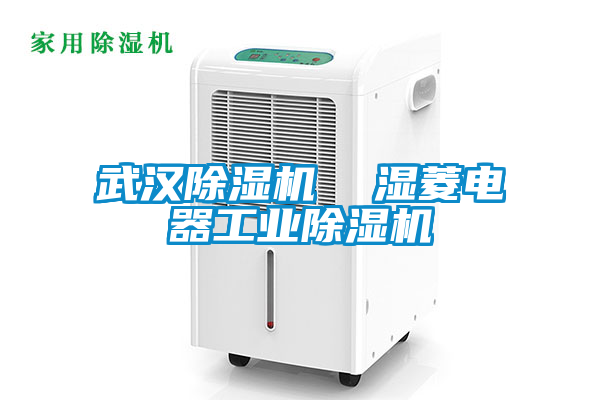 武漢除濕機 濕菱電器工業除濕機