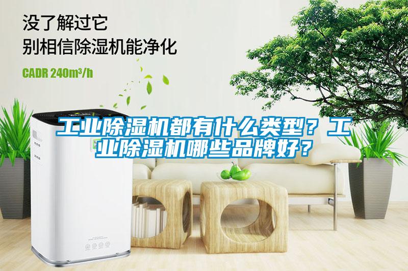工業(yè)除濕機(jī)都有什么類型？工業(yè)除濕機(jī)哪些品牌好？