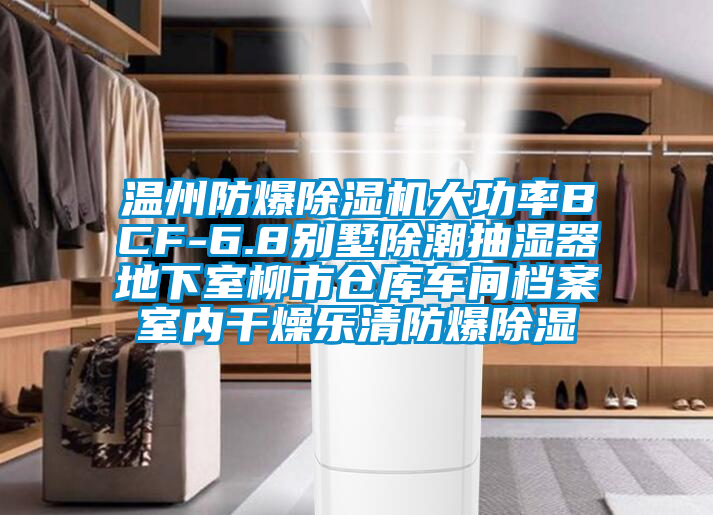 溫州防爆除濕機(jī)大功率BCF-6.8別墅除潮抽濕器地下室柳市倉(cāng)庫(kù)車間檔案室內(nèi)干燥樂清防爆除濕