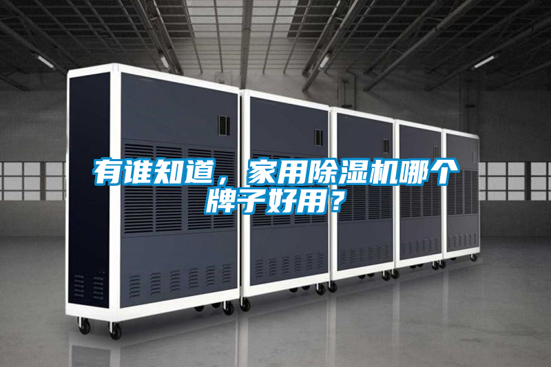 有誰知道,家用除濕機(jī)哪個牌子好用?