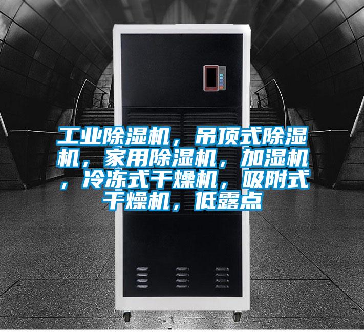 工業除濕機，吊頂式除濕機，家用除濕機，加濕機，冷凍式干燥機，吸附式干燥機，低露點