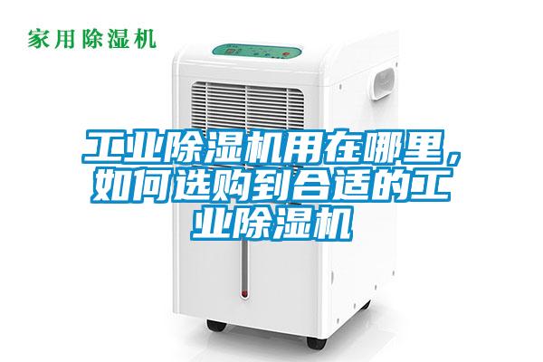 工業除濕機用在哪里，如何選購到合適的工業除濕機