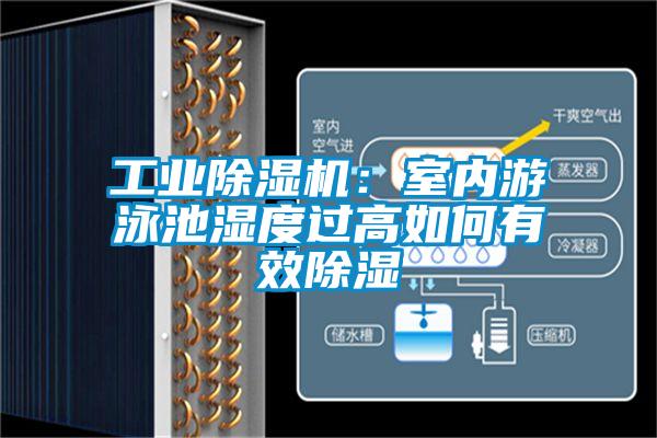 工業(yè)除濕機(jī):室內(nèi)游泳池濕度過高如何有效除濕