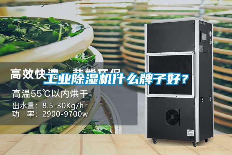 工業除濕機什么牌子好？