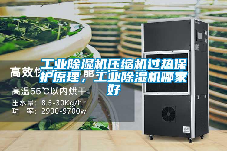 工業(yè)除濕機(jī)壓縮機(jī)過(guò)熱保護(hù)原理，工業(yè)除濕機(jī)哪家好