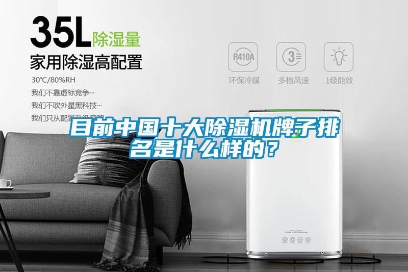 目前中國十大除濕機(jī)牌子排名是什么樣的？