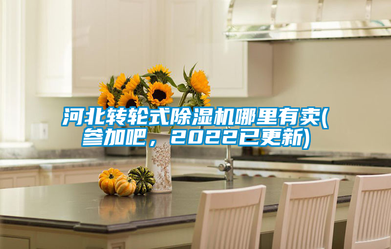河北轉(zhuǎn)輪式除濕機哪里有賣(參加吧，2022已更新)