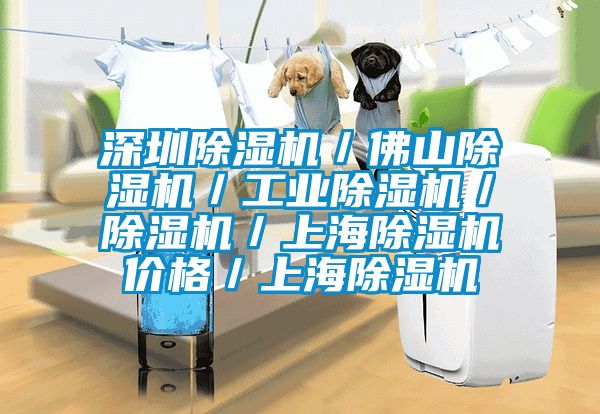 深圳除濕機(jī)/佛山除濕機(jī)/工業(yè)除濕機(jī)/除濕機(jī)/上海除濕機(jī)價(jià)格/上海除濕機(jī)