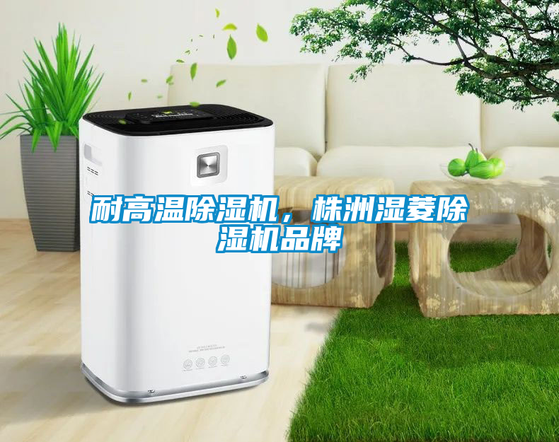 耐高溫除濕機，株洲濕菱除濕機品牌