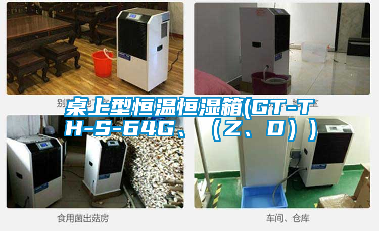桌上型恒溫恒濕箱(GT-TH-S-64G、（Z、D）)