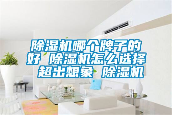 除濕機(jī)哪個牌子的好 除濕機(jī)怎么選擇 超出想象 除濕機(jī)