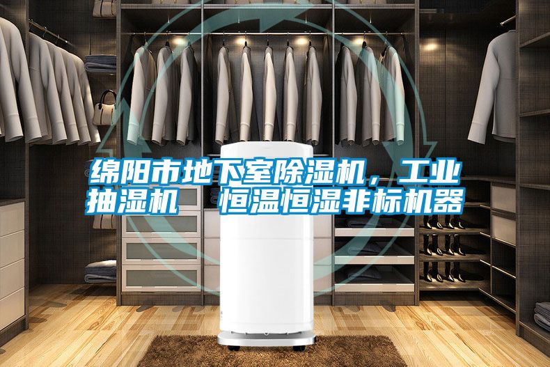 綿陽市地下室除濕機，工業(yè)抽濕機  恒溫恒濕非標機器