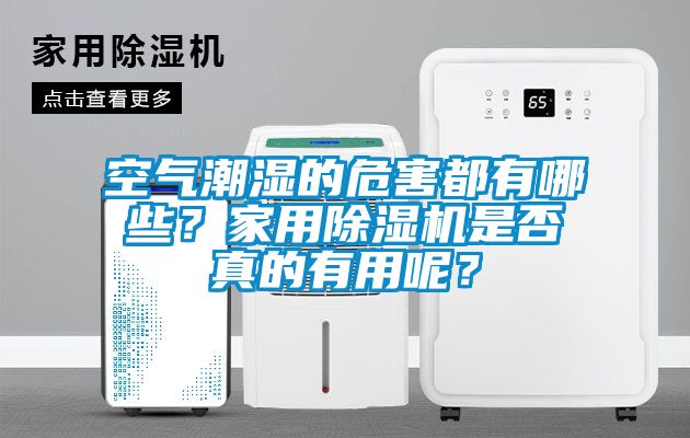 空氣潮濕的危害都有哪些？家用除濕機是否真的有用呢？