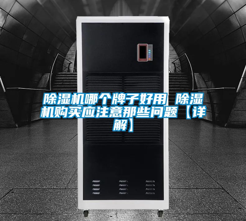 除濕機(jī)哪個牌子好用 除濕機(jī)購買應(yīng)注意那些問題【詳解】