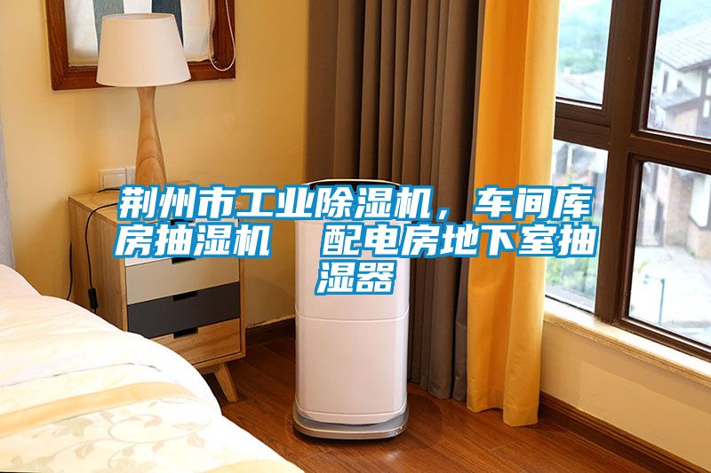 荊州市工業(yè)除濕機(jī)，車間庫房抽濕機(jī)  配電房地下室抽濕器