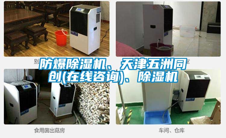 防爆除濕機(jī)、天津五洲同創(chuàng)(在線咨詢)、除濕機(jī)