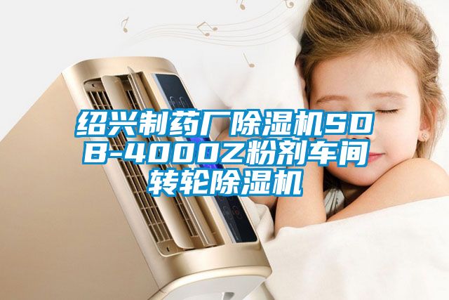 紹興制藥廠(chǎng)除濕機(jī)SDB-4000Z粉劑車(chē)間轉(zhuǎn)輪除濕機(jī)