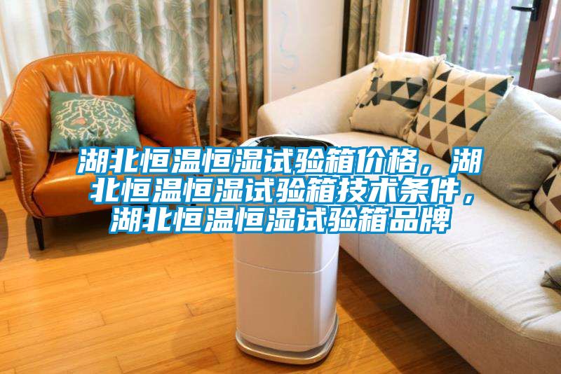 湖北恒溫恒濕試驗(yàn)箱價(jià)格，湖北恒溫恒濕試驗(yàn)箱技術(shù)條件，湖北恒溫恒濕試驗(yàn)箱品牌