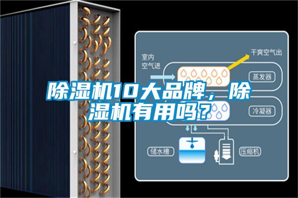 除濕機10大品牌，除濕機有用嗎？