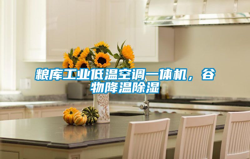 糧庫(kù)工業(yè)低溫空調(diào)一體機(jī),谷物降溫除濕