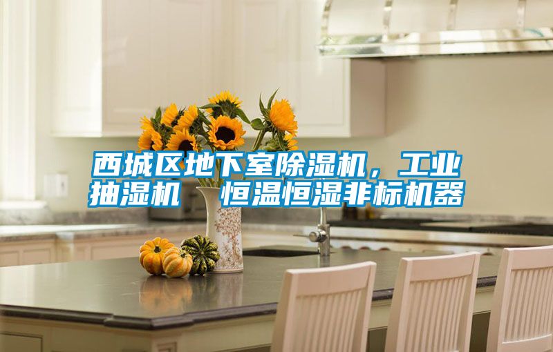 西城區地下室除濕機，工業抽濕機  恒溫恒濕非標機器