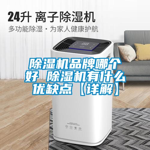 除濕機(jī)品牌哪個好 除濕機(jī)有什么優(yōu)缺點【詳解】