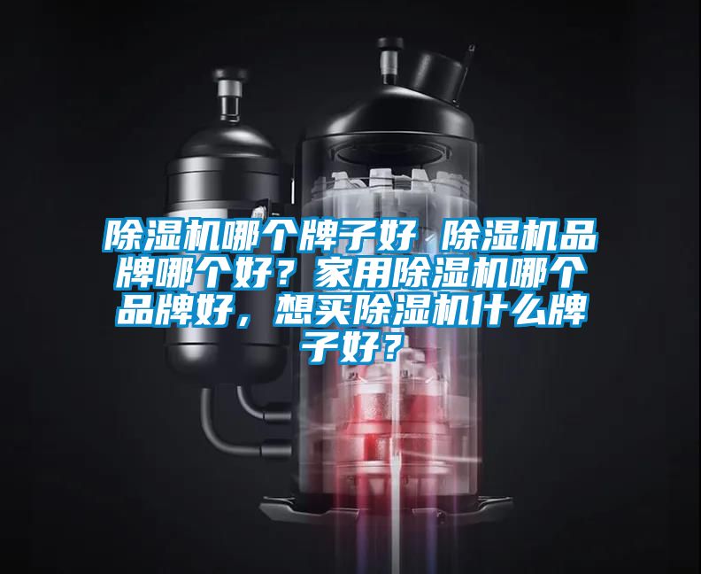除濕機哪個牌子好 除濕機品牌哪個好?家用除濕機哪個品牌好,想買除濕機什么牌子好?