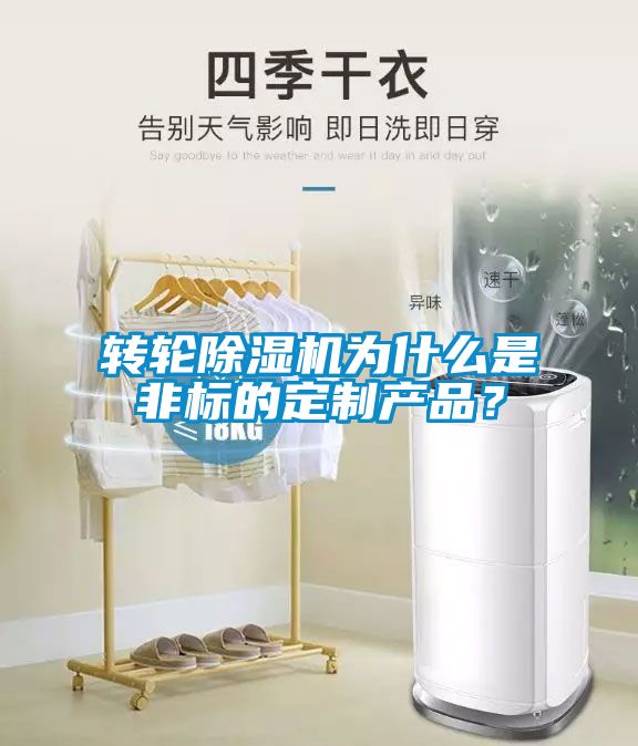 轉輪除濕機為什么是非標的定制產品？