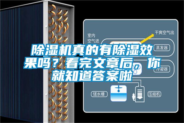 除濕機真的有除濕效果嗎？看完文章后，你就知道答案啦