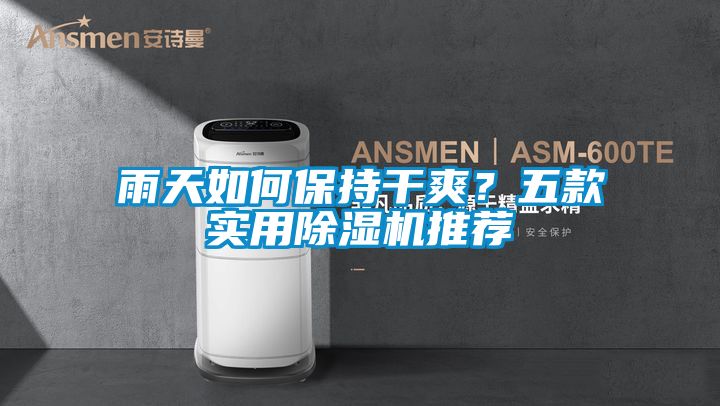 雨天如何保持干爽？五款實用除濕機推薦