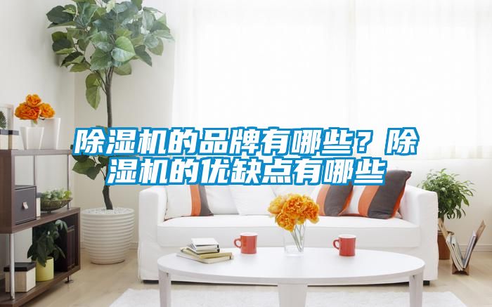 除濕機的品牌有哪些？除濕機的優(yōu)缺點有哪些