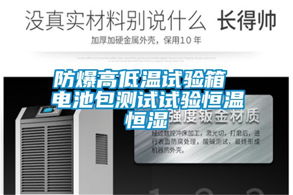 防爆高低溫試驗(yàn)箱 電池包測試試驗(yàn)恒溫恒濕