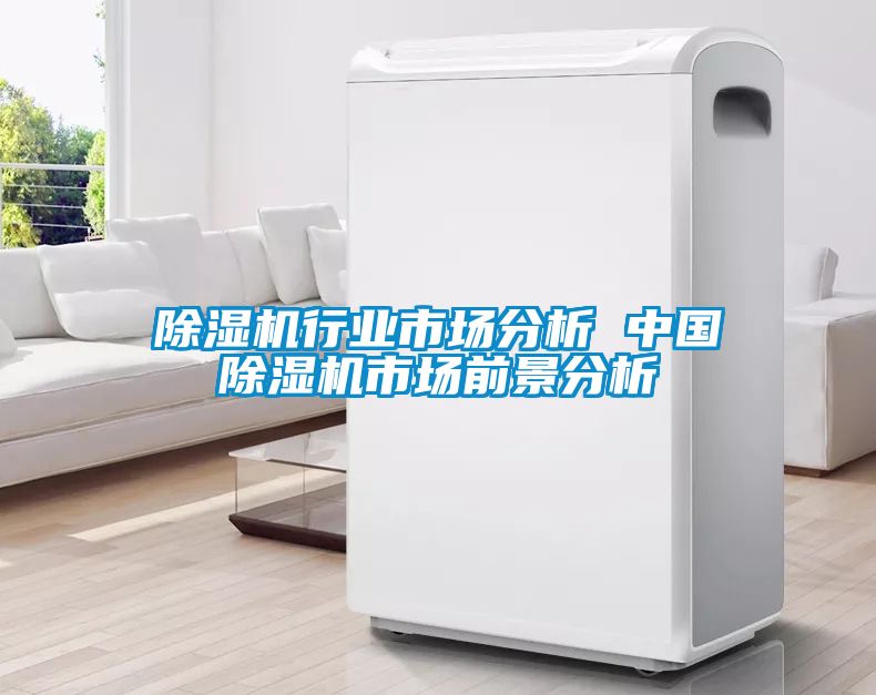 除濕機(jī)行業(yè)市場分析 中國除濕機(jī)市場前景分析