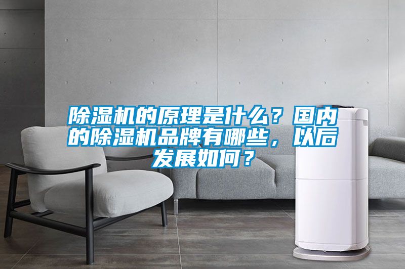 除濕機的原理是什么？國內的除濕機品牌有哪些，以后發展如何？