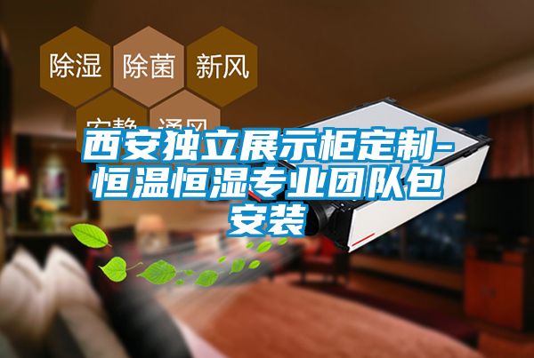 西安獨立展示柜定制-恒溫恒濕專業團隊包安裝