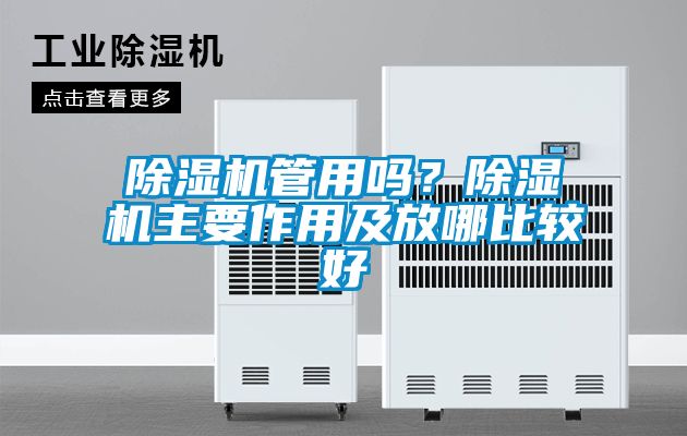 除濕機管用嗎？除濕機主要作用及放哪比較好