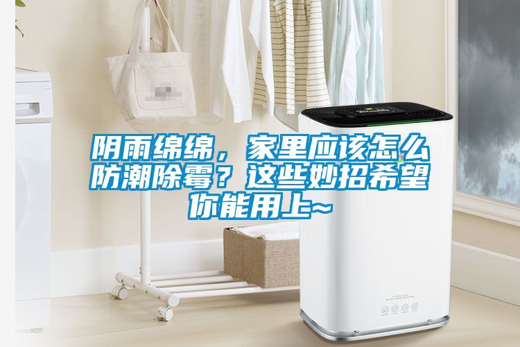 陰雨綿綿，家里應(yīng)該怎么防潮除霉？這些妙招希望你能用上~