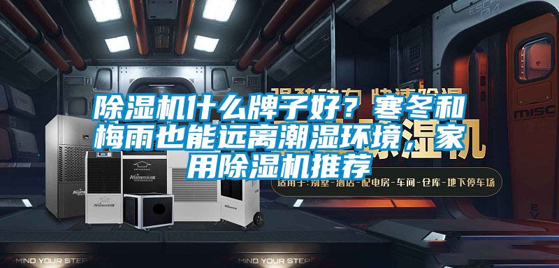 除濕機什么牌子好？寒冬和梅雨也能遠離潮濕環(huán)境，家用除濕機推薦