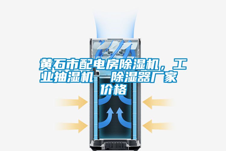 黃石市配電房除濕機(jī),工業(yè)抽濕機(jī) 除濕器廠家 價(jià)格